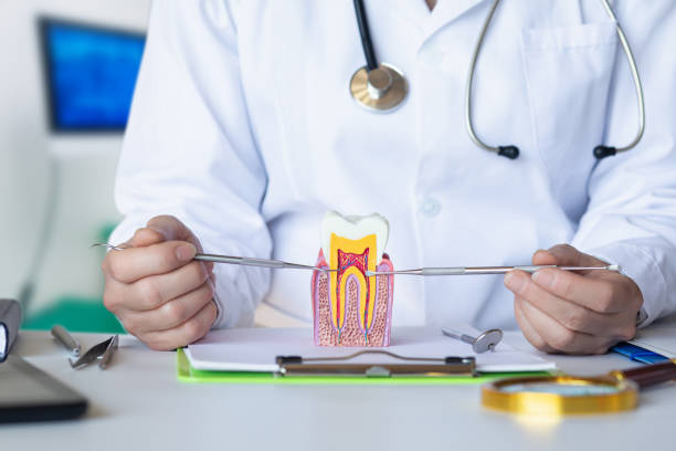 Best Chipped Tooth Repair Near Me  in Sorrento, LA